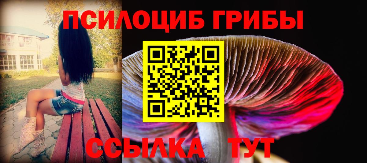 Псилоцибиновые грибы Cubensis  Псилоцибиновые грибы Magic Shrooms  Вход с VPN  Коммунар 